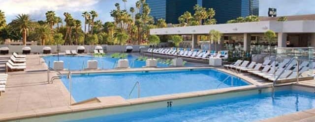 Wet Republic Vegas 2014