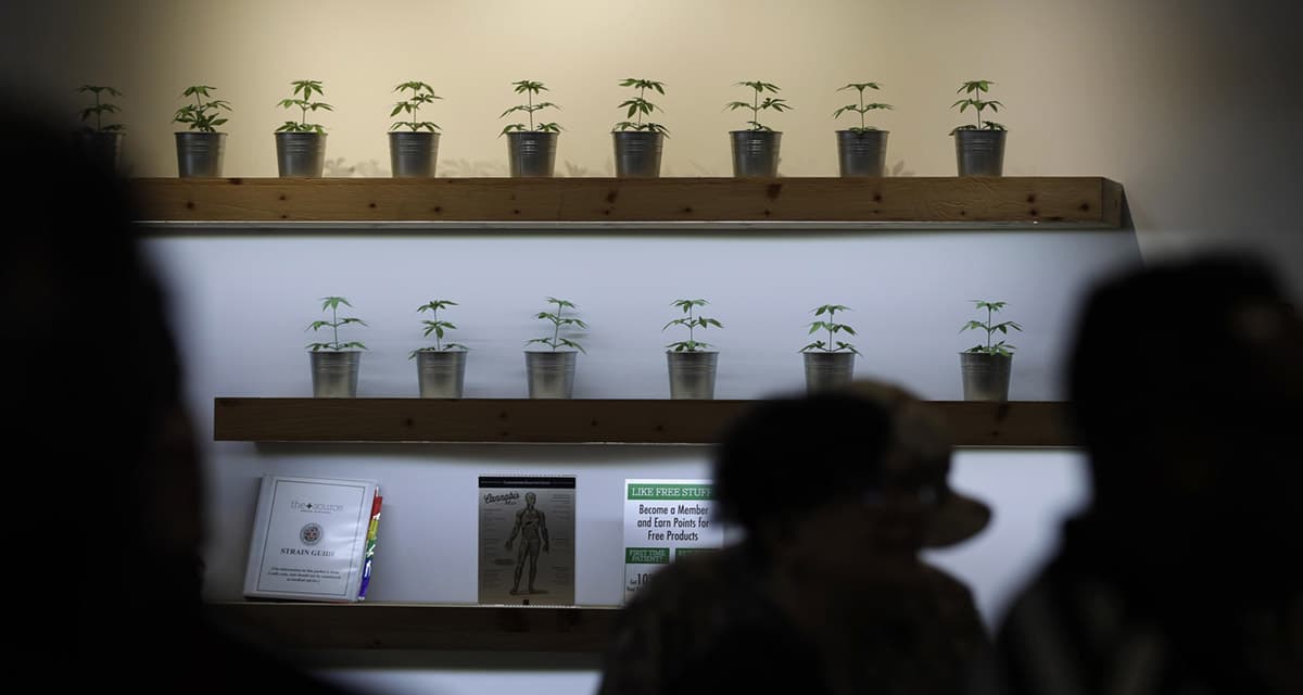 The Best Recreational Dispensaries on the Las Vegas Strip