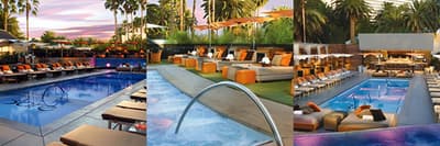 Vegas Pool Parties